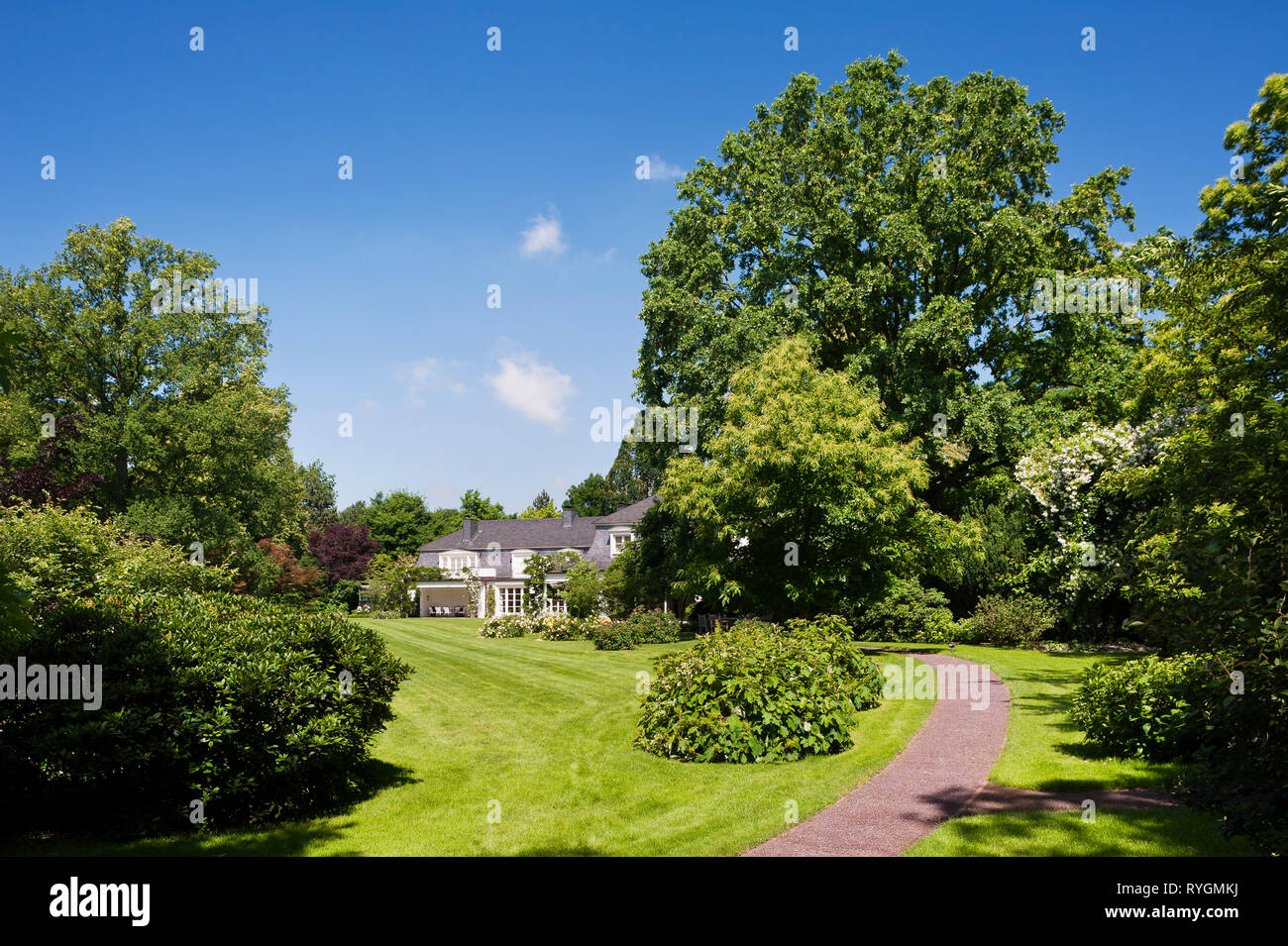 Rasen und Bäume von House Stockfoto