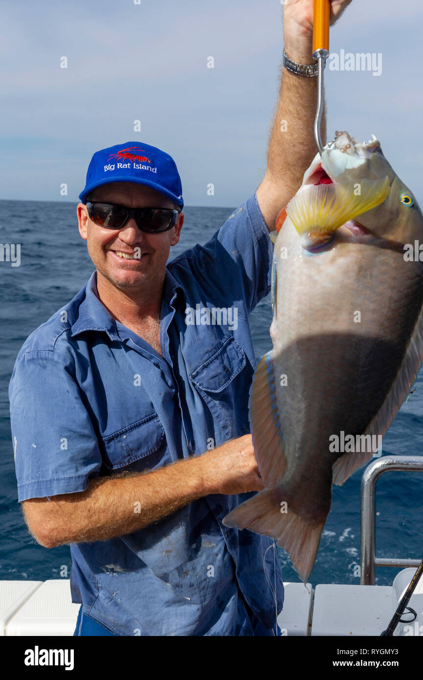 Ein entspannender Fischer mit einem kahlen Kinn groper in der Osterzeit Gruppe. Die Houtman Abrolhos Inseln liegen 60 Kilometer vor der Küste von Geraldton in Wes Stockfoto