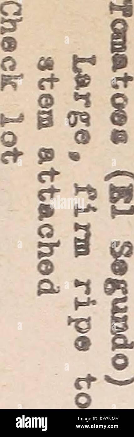 T5 09 Stockfotos Und Bilder Kaufen Alamy