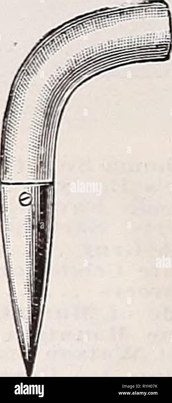 Dreer der Großhandel Preisliste für Floristen: Glühlampen Blumensamen Rasen Gras Samen pflanzen Verbrauchsmaterialien dreerswholesalep 1933 henr Jahr: 1933 Mastioa Verglasung Maschine Schürzen. An der Kleidung schützen, während Sie im Garten, das Gewächshaus, oder in der Garage Gummi, schwere Leinwand arbeiten Glühlampe Faser. Enthält alle notwendigen pflanzliche Nahrung für fast alle Arten von Winter Blumenzwiebeln. Pro V2 Peck, 50 cts.; pro Peck, 75 cts.; pro Bushel Stier Hund Clips. Zur Befestigung der Pakete. Pro 1000.... Nelke und Snapdragon Snpport, Perfektion. Die einfache, robuste und praktische Anordnung für Gewächshaus zur Verfügung. Stockfoto