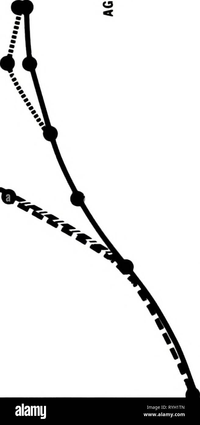 Auswirkungen der Jugendlichen Hormon auf mitrochondrial [sic] Stoffwechsel im Indischen meal moth Plodia interpunctella (Hübner) effectsofjuvenil 00 tannen Jahr: 1975 65: o V//'./'*0&lt;&lt;c &Lt;6 (pdSUf INaiNOD IWOUHDOIAD SdjOUJU) Stockfoto