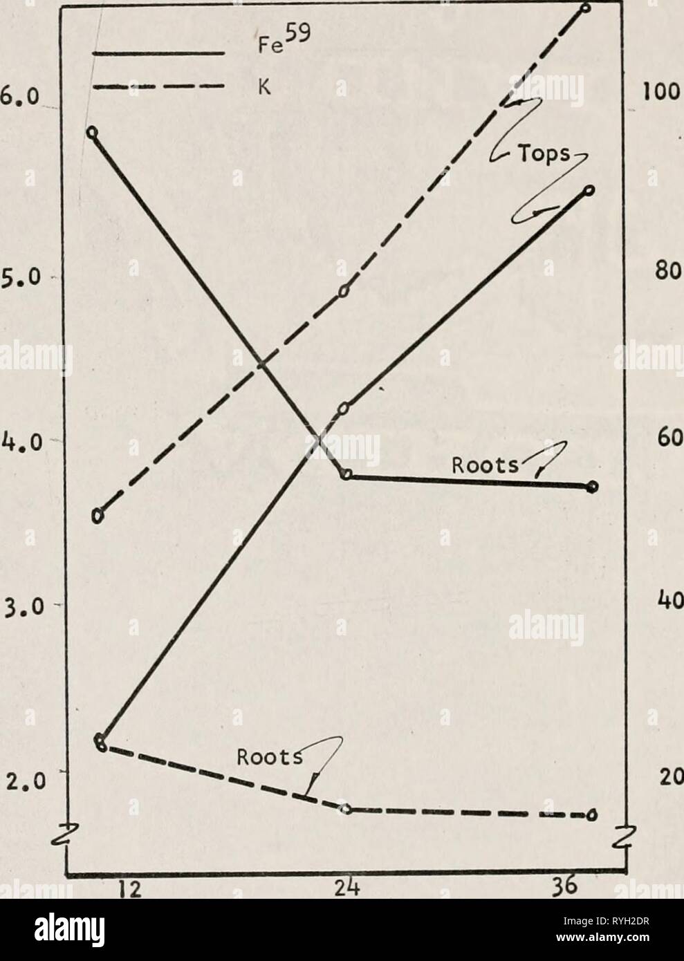 Auswirkungen von Kalium Düngung und Nachttemperaturen auf die Absorption, die Translokation und Assimilation von Eisen in centipedegrass (Eremochloa ophuiroides) effectsofpotassi 00 teng Jahr: 1965 65 o Ich; 5,0 t. P ID-E&gt;. 1. Â o o o. ^ Â". c1 en4-) c o'â 3.0 en E Wachstum Zeitraum in Tagen Abbildung 5. Insgesamt Eisen (Fe) und Kalium enthalten in Tops und Wurzeln der Centipedegrass an drei Wachstumsphasen. Stockfoto