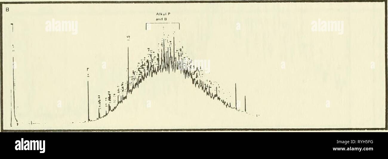 Ökologische Studie der Amoco Cadiz Ölpest: Bericht des NOAA-CNEXO Gemeinsame wissenschaftliche Kommission ecologicalstudyo 00 noaa Jahr: 1982 Abbildung 3.66. Aber Wrac'h beeinflusst Austern - aromatische Kohlenwasserstoffe; Dezember 1978; B - Juni 1980. Stockfoto