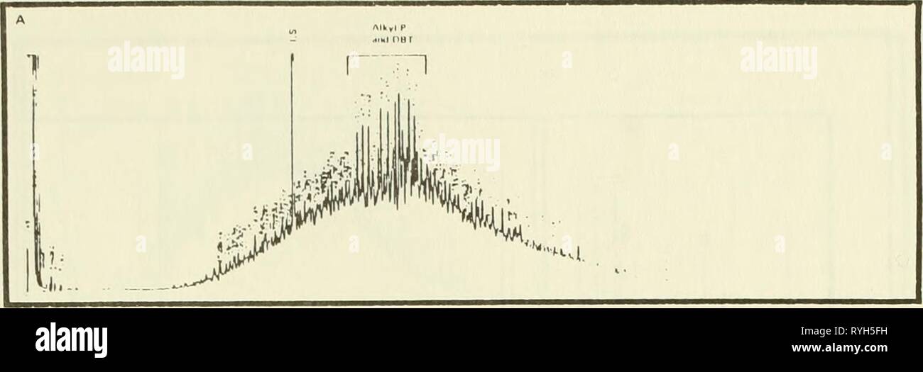 Ökologische Studie der Amoco Cadiz Ölpest: Bericht des NOAA-CNEXO Gemeinsame wissenschaftliche Kommission ecologicalstudyo 00 noaa Jahr: 1982 Stockfoto
