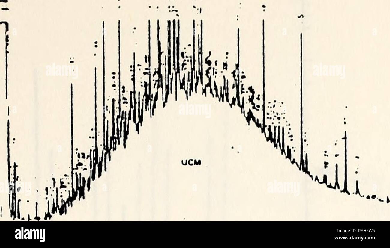 Ökologische Studie der Amoco Cadiz Ölpest: Bericht des NOAA-CNEXO Gemeinsame wissenschaftliche Kommission ecologicalstudy 00 noaa Jahr: 1982 "ICH* • "J J Stockfoto