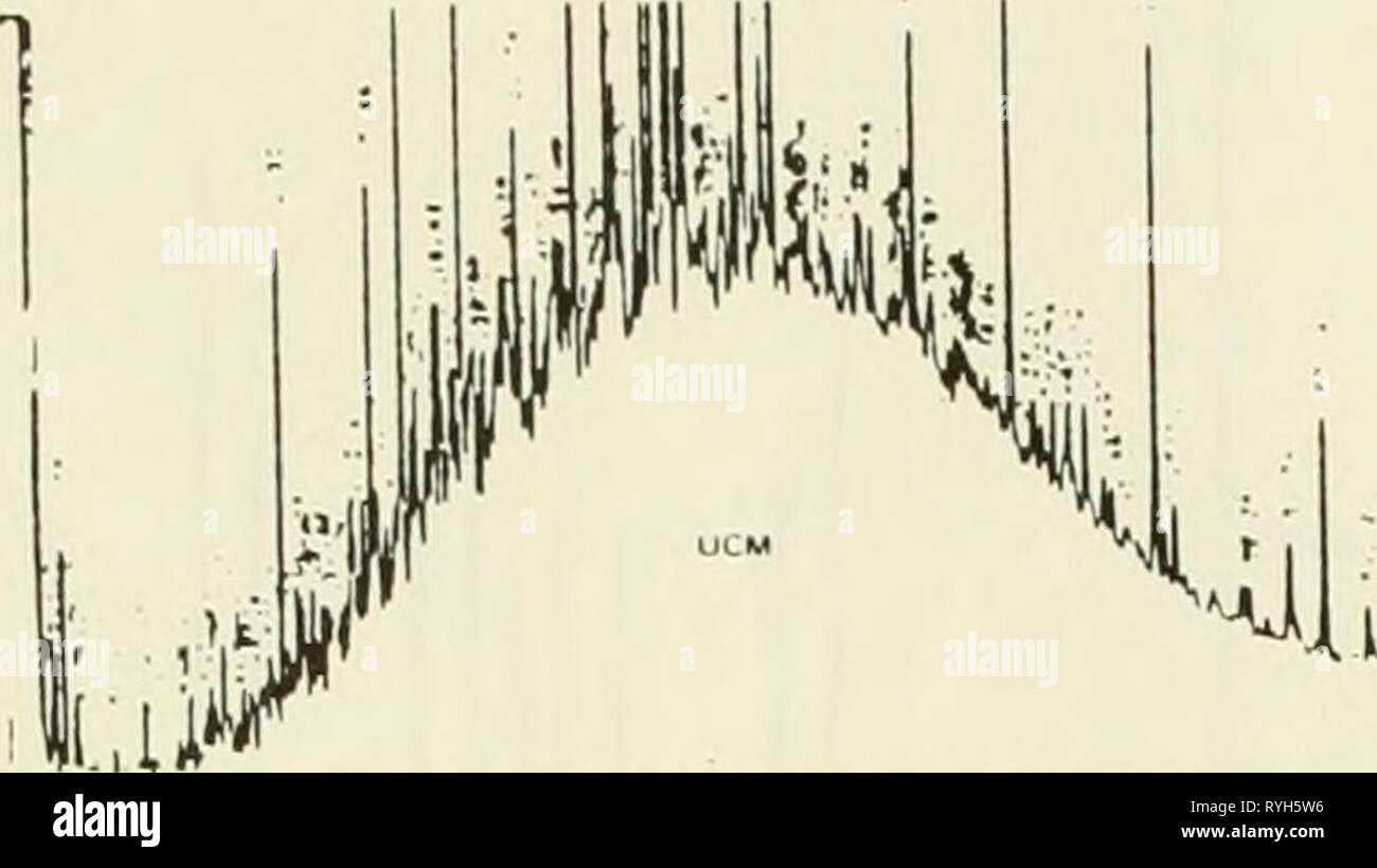 Ökologische Studie der Amoco Cadiz Ölpest: Bericht des NOAA-CNEXO Gemeinsame wissenschaftliche Kommission ecologicalstudyo 00 noaa Jahr: 1982 * '' - '. Stockfoto