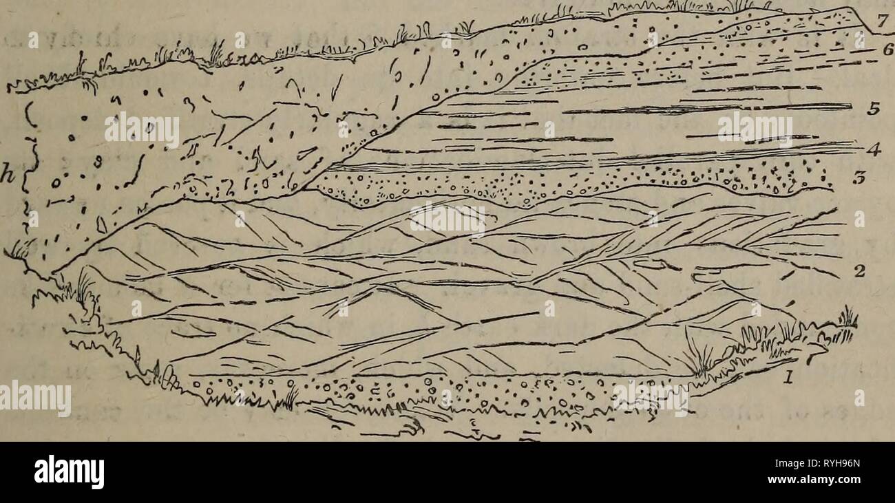 Edinburgh neue Philosophische Zeitschrift edinburghnewphil 141861 Jahr: 1861 der Küste des Firth von weiter. 103 Stadtrand von Leith. Es offen in einem interessanten Abschnitt in den Sand gelegt - Grube auf der Südseite des Junction Road, in der Nähe von bowling-green Straße. Die Schichten Hier liegen über 25 Fuß über High-water Mark und sind eindeutig die von der angehobenen Strand. Sie eng entsprechen den Ablagerungen entlang der Küste zwischen Leith und der Portobello. In ihnen zu untersuchen, wurde ich von meinem Freund und Kollegen Dr. Jung, der mich in fast allen obs unterstützt hat, begleitet Stockfoto