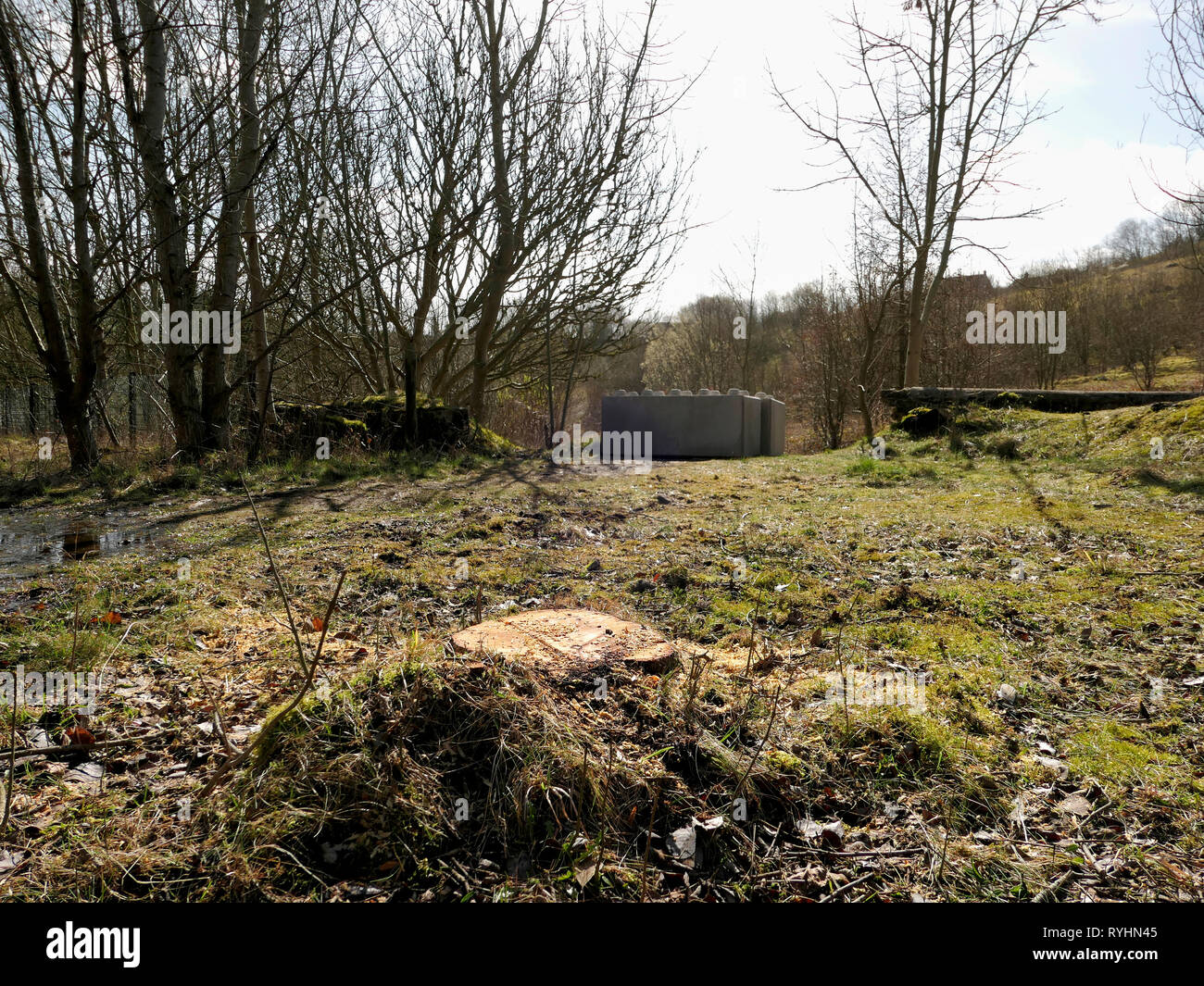 Stoney Holz, Wirksworth, Derbyshire, UK. 14. März, 2019. Bäume schneiden von Derbyshire Dales District Council weg für ein Zigeuner Roma Traveller camp zu machen, drohen neben einheimischen Wildtieren scanctury, Stoney Holz, wirksworth. Konkrete Bausteine auf dem Parkplatz platziert Wirksworth Beauty Spot in Besitz von wirksworth Stadt Rates (Arbeit) nach Derbyshire Dales District Council (konservativ) auf einem Standortwechsel BRT Reisenden Camp zu umstrittenen Land neben Stoney Holz, Wirksworth, Derbyshire Dales gestimmt zu schützen. Quelle: Doug Blane/Alamy leben Nachrichten Stockfoto