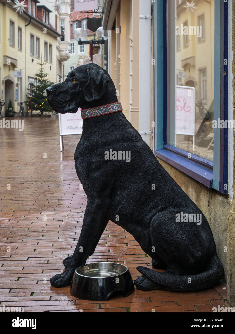 Marionette eines schwarzen Dogge vor einem Geschäft in der Altstadt von Osnabrück, Deutschland Stockfoto
