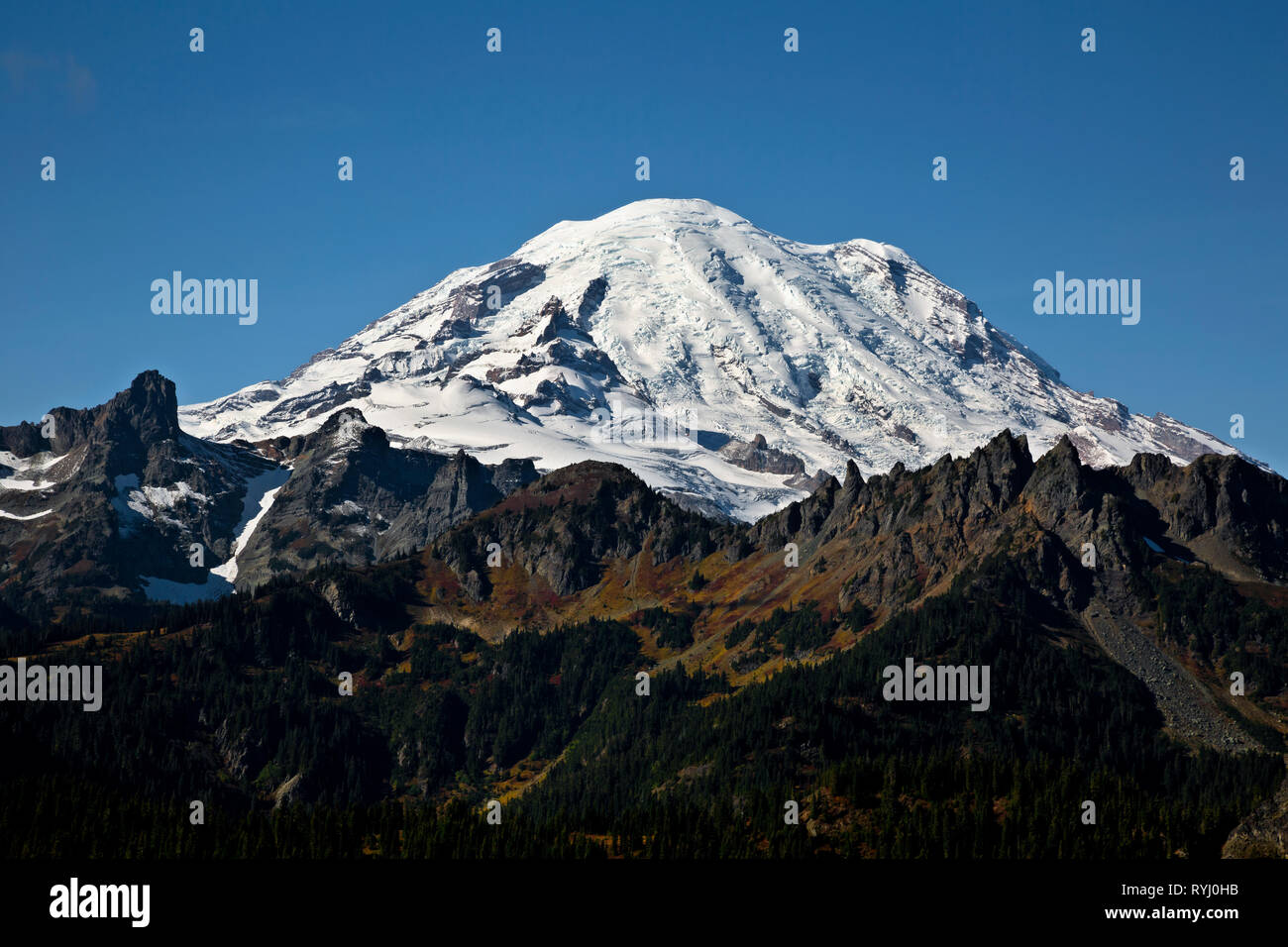 WA 15943-00 ... WASHINGTON - Gouverneure Ridge, der Cowlitz Schornsteine und Mount Rainier gesehen vom Naches Pass Loop im Mount Rainier National Park. Stockfoto