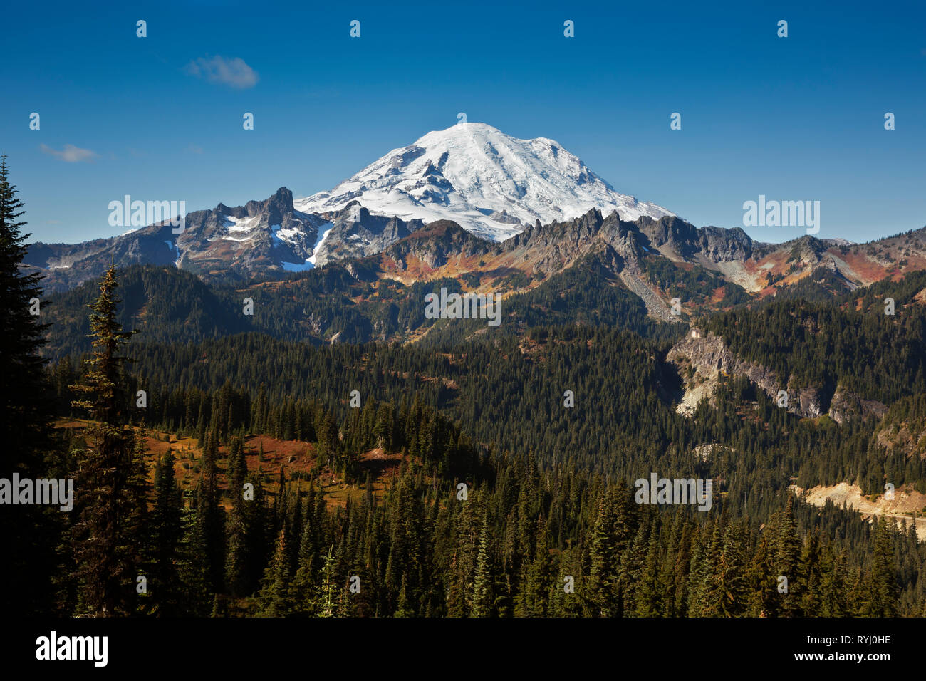WA 15944-00 ... WASHINGTON - Gouverneure Ridge, der Cowlitz Schornsteine und Mount Rainier gesehen vom Naches Pass Loop im Mount Rainier National Park. Stockfoto
