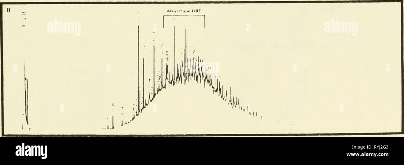 Ökologische Studie der Amoco Cadiz Ölpest: Bericht des NOAA-CNEXO Gemeinsame wissenschaftliche Kommission ecologicalstudyo 00 noaa Jahr: 1982 Abbildung 3.80. Baie de Morlaix beeinflusst Austern - aromatische Kohlenwasserstoffe; - 5. April 1978; B - 27. Februar 1979. 93 Stockfoto
