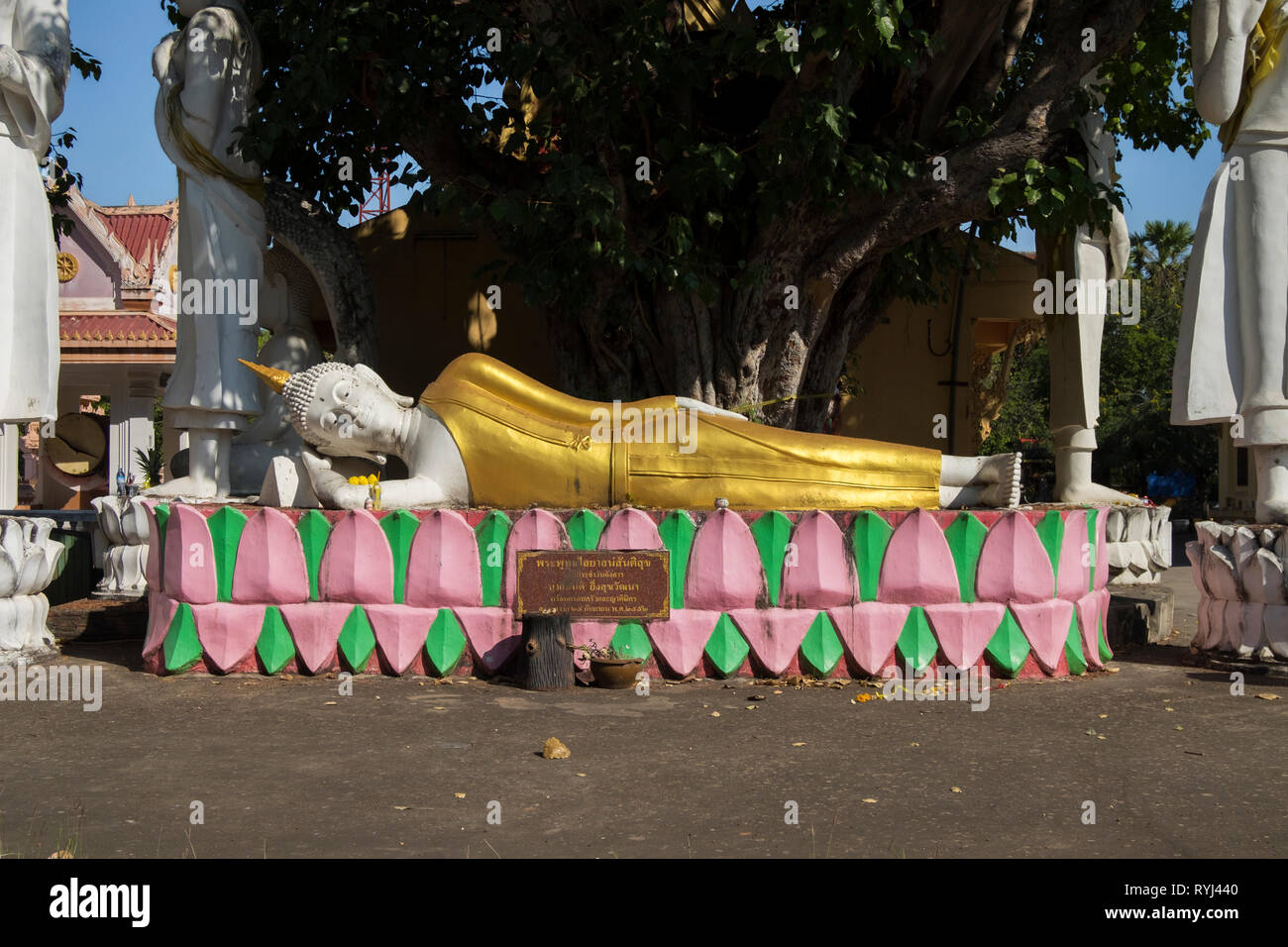 Ein klassisches Gold liegenden Buddha ruht auf einem Bett von Rosa und grün Lotus Blätter in Khon Kaen, Thailand. Stockfoto