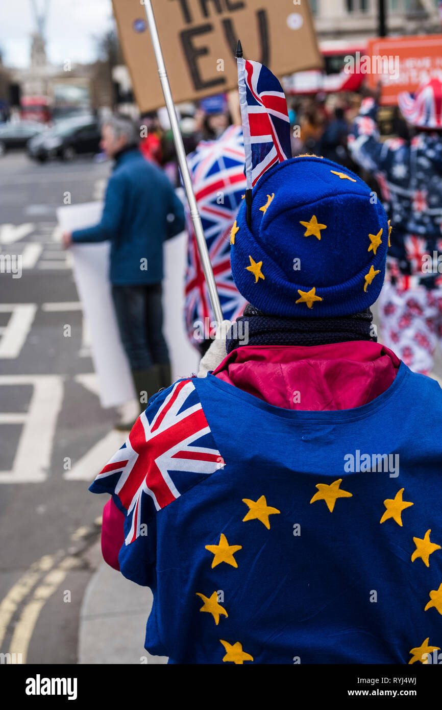 Menschen protestieren über Brexit außerhalb des Parlaments, Palast von Westminster, London, England, Großbritannien Stockfoto