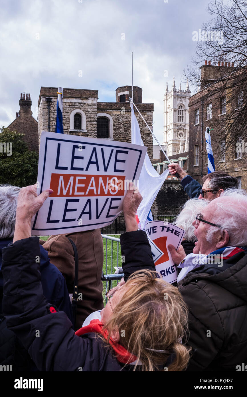 Menschen protestieren über Brexit außerhalb des Parlaments, Palast von Westminster, London, England, Großbritannien Stockfoto