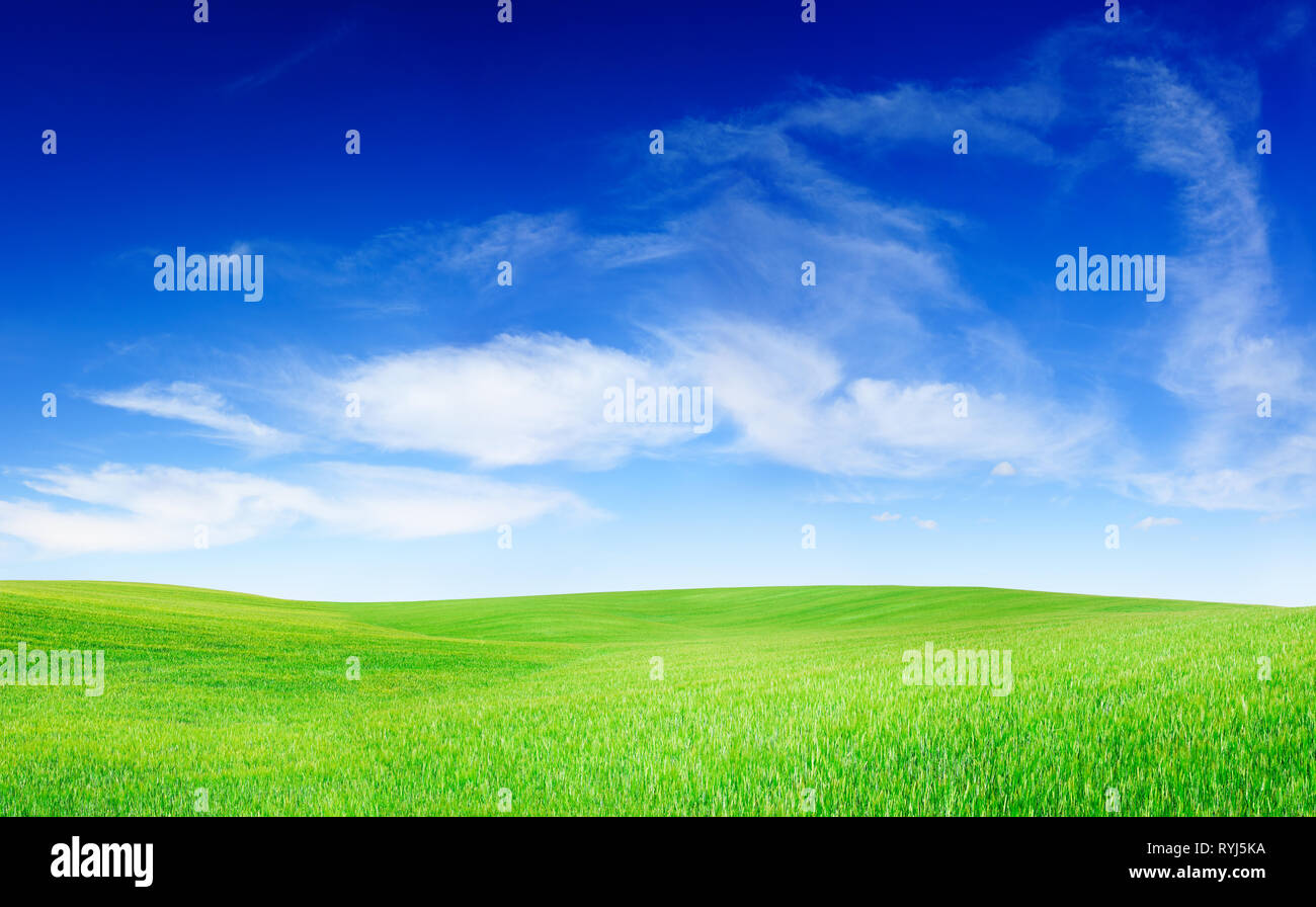 Idyllische Landschaft, grüne Feld, blauer Himmel und weiße Wolken Stockfoto