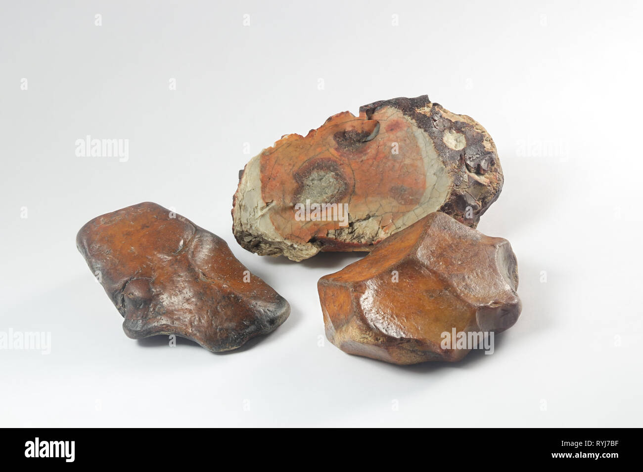 Feuerstein, oder cryptocrystalline Quarz, war wichtiger Rohstoff für Werkzeuge, die in der Steinzeit. Stockfoto