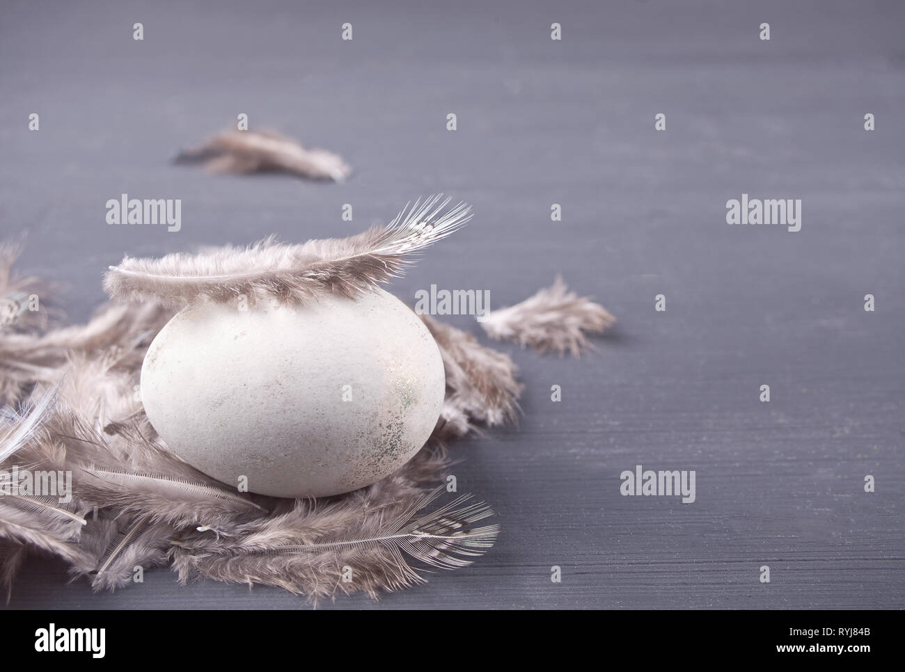 Easter Egg auf dem Tisch mit Feder Stockfoto