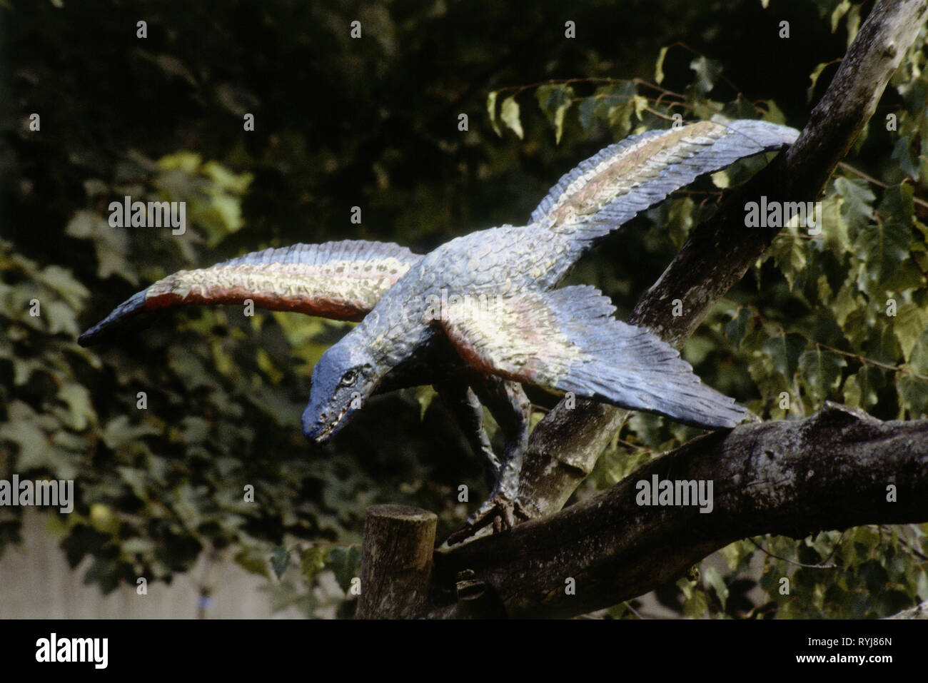 Urzeit, Tiere, Archaeopteryx Archaeopteryx, Replikat