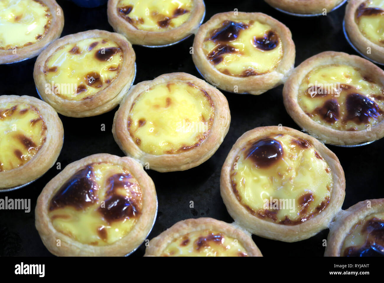 Ei Pudding, Bangkok, Thailand Stockfoto