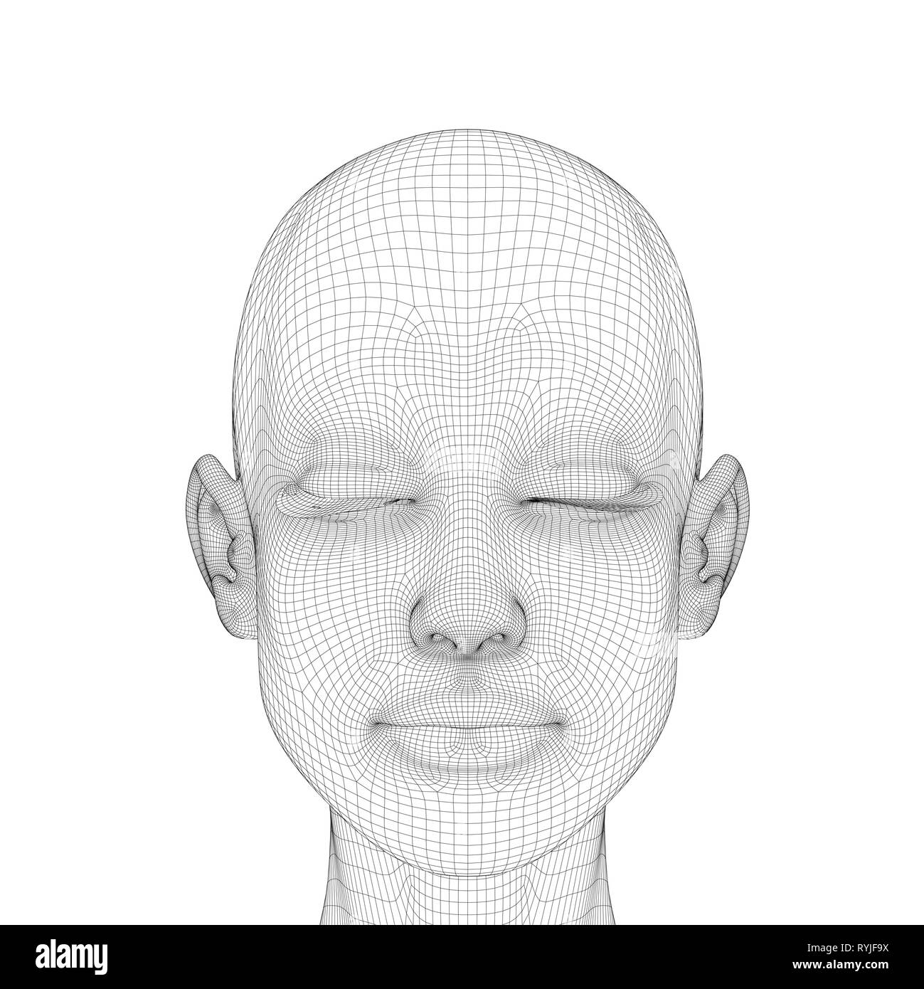 Drahtmodell der Kopf eines Mädchens mit einem ruhigen Lächeln und geschlossenen Augen. Polygonale Mädchen Kopf auf weißem Hintergrund. 3D. Vektor Stock Vektor