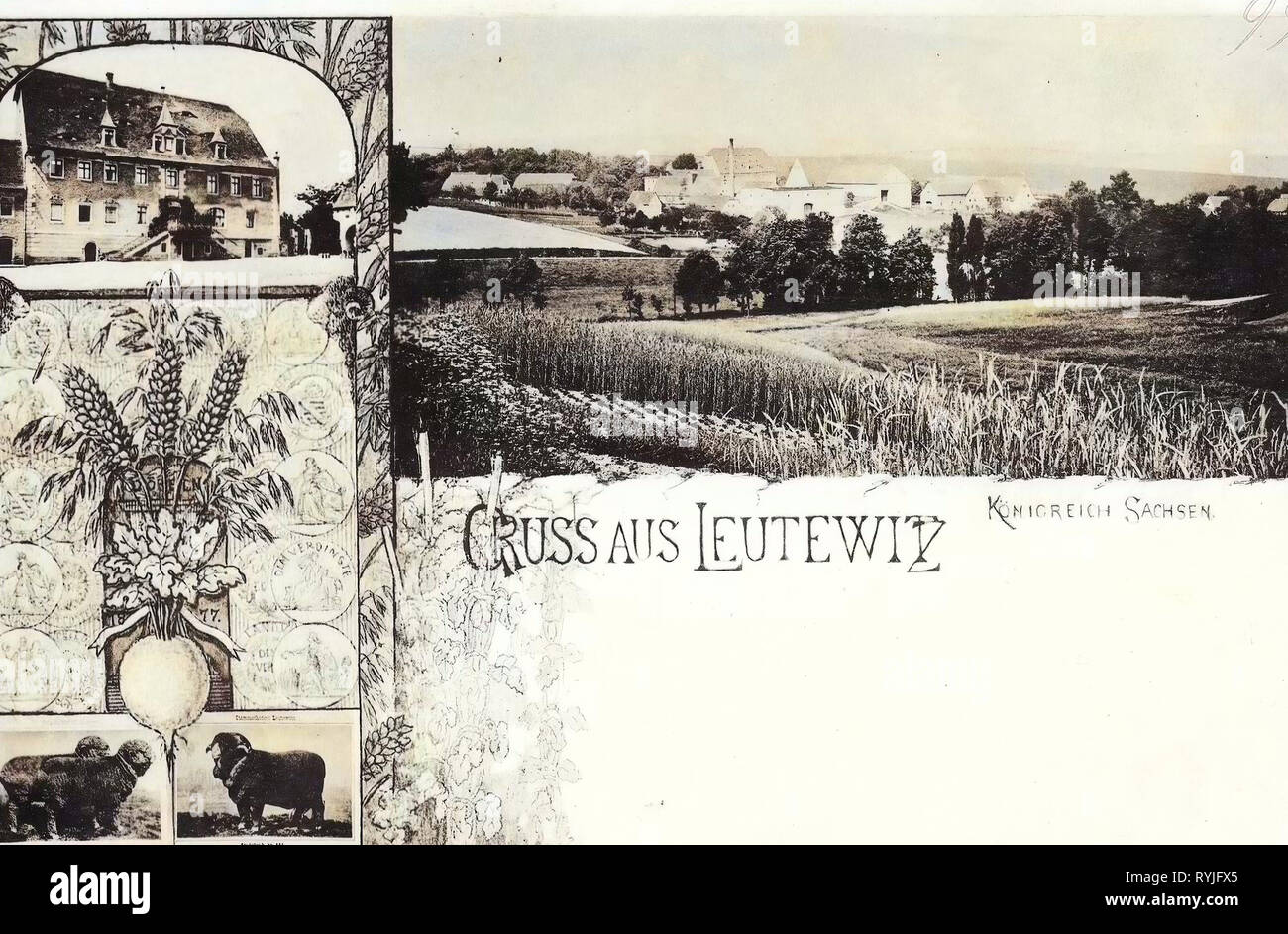 Multiview Postkarten, Schafe in Deutschland, Gebäude im Landkreis Meißen, Leutewitz (Käbschütztal), 1898, Landkreis Meißen, Leutewitz, Ortsansicht Stockfoto