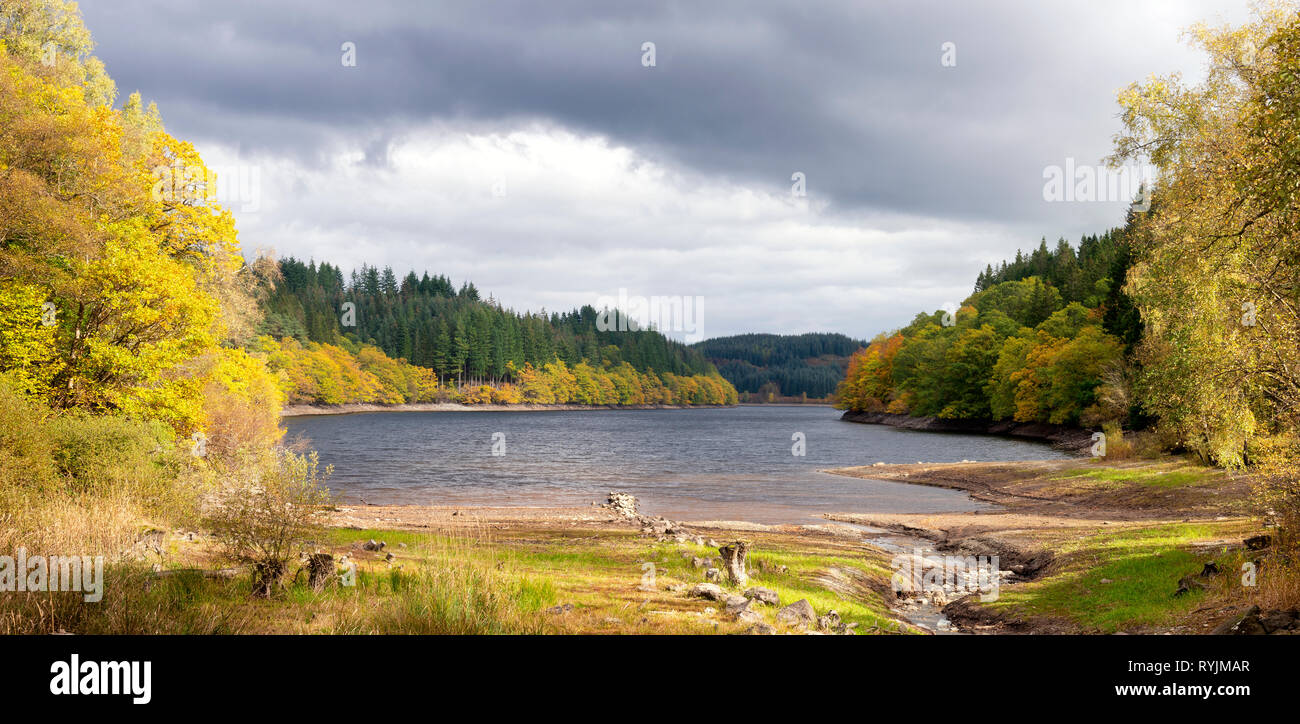 Herbst am Loch Drunkie, in der Nähe Aberfoyle Stockfoto
