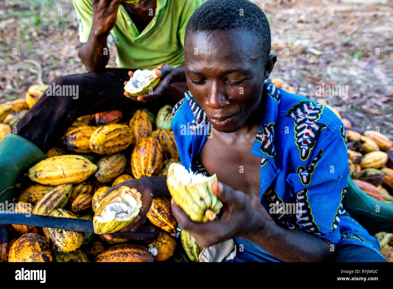 Das kooperative essen -Fotos und -Bildmaterial in hoher Auflösung – Alamy