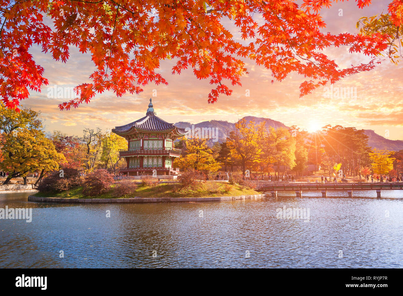 Ahorn Bäume mit einem See am Gyeongbokgung Palast, Seoul, Südkorea. Stockfoto