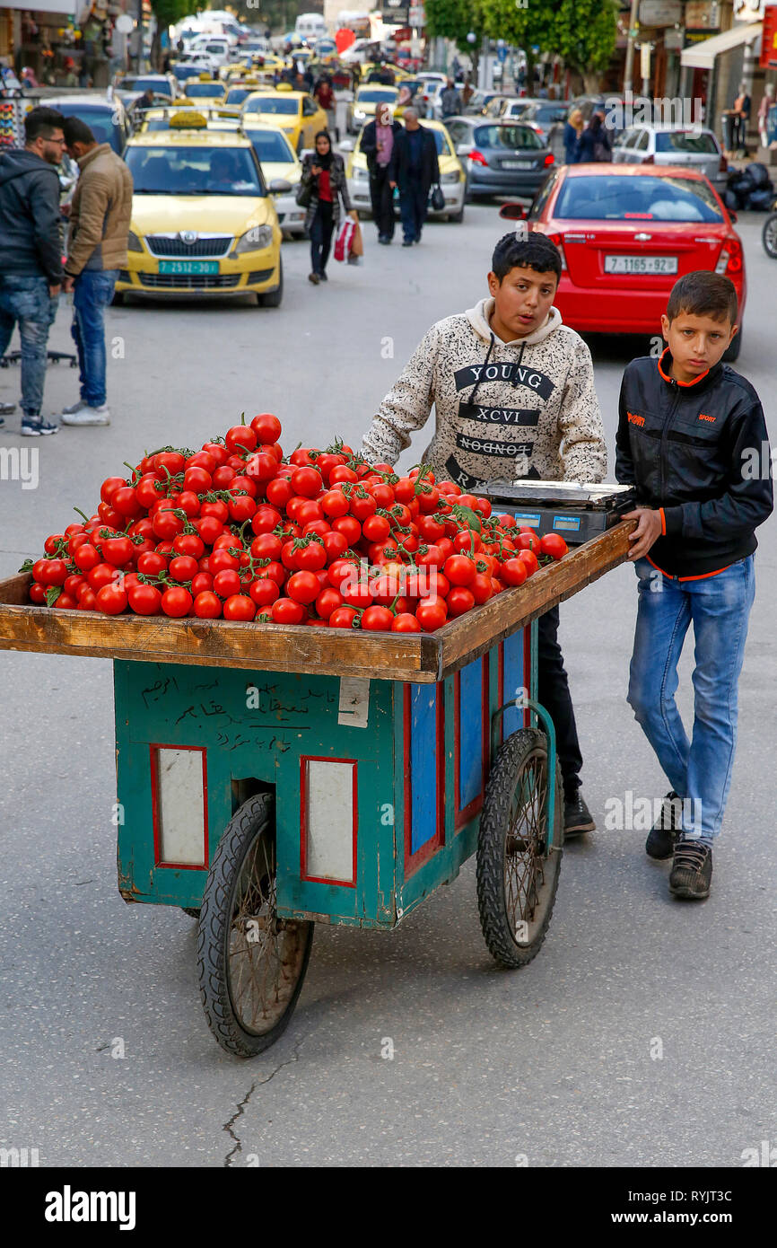 Palästinensischen jungen verkaufen Tomaten in Nablus Innenstadt, West Bank, Palästina. Stockfoto