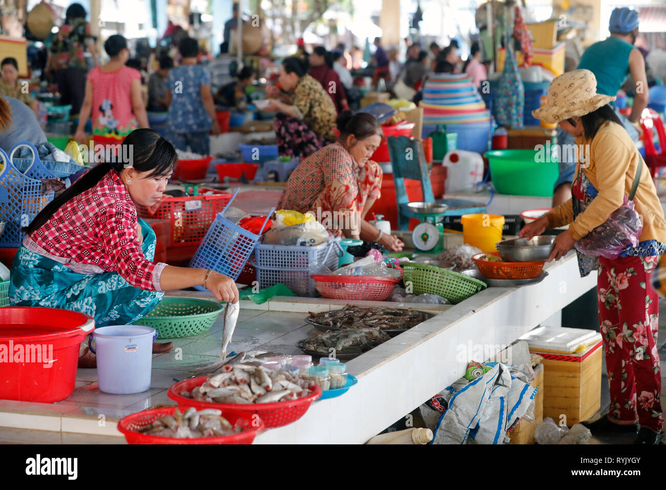 Fischmarkt. Frauen Verkauf von frischem Fisch. Ha Tien. Vietnam. Stockfoto