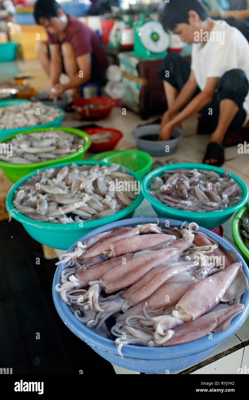 Fischmarkt. Tintenfischen und Garnelen für den Verkauf. Ha Tien. Vietnam. Stockfoto