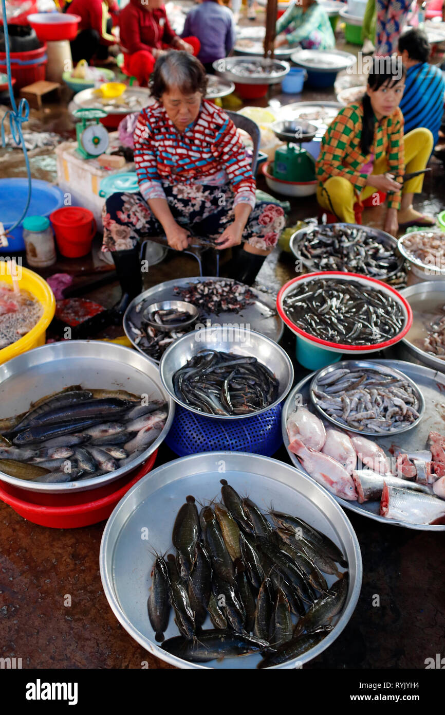 Fischmarkt. Frauen Verkauf von frischem Fisch. Ha Tien. Vietnam. Stockfoto