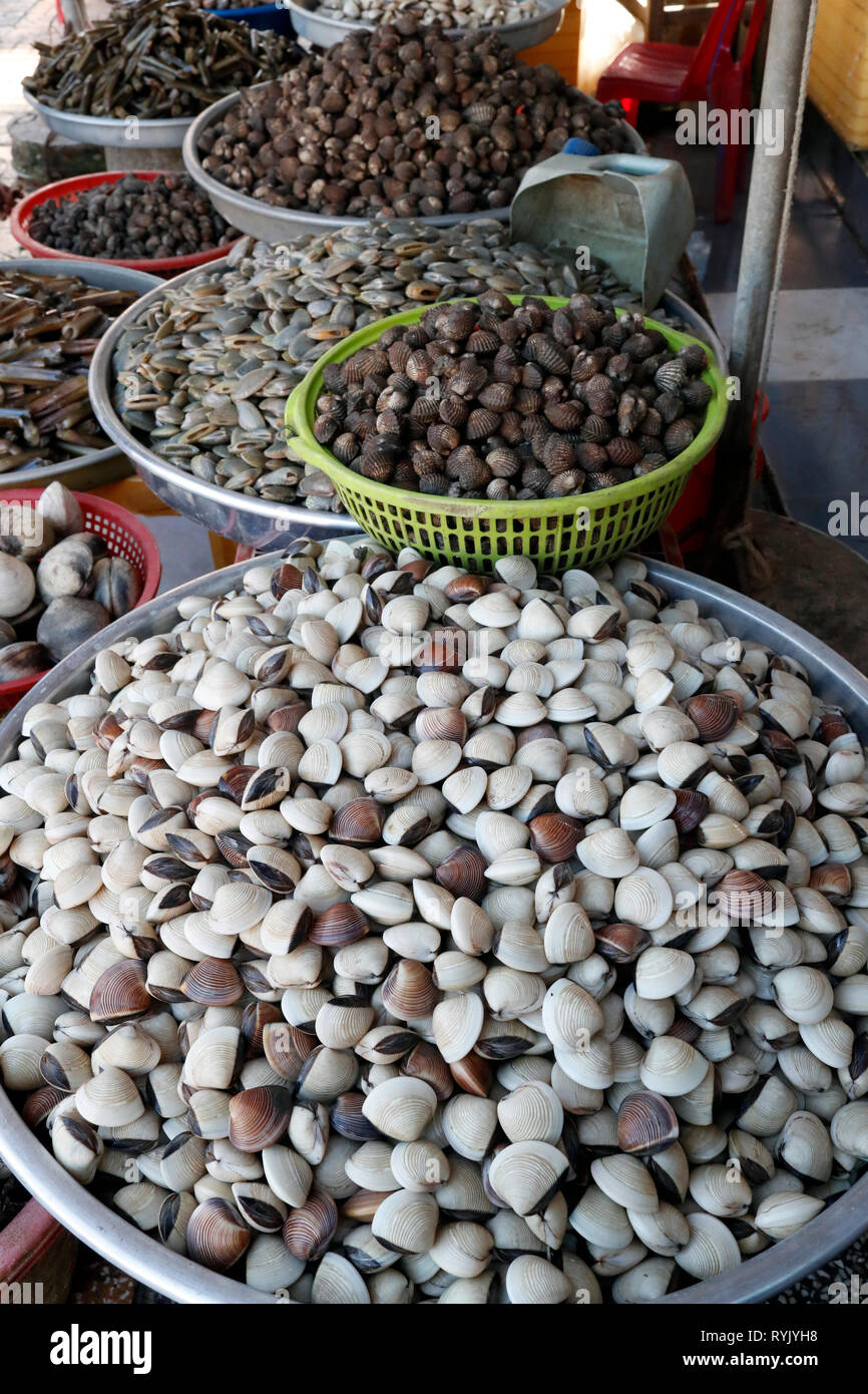 Fischmarkt. Frische Muscheln zum Verkauf. Ha Tien. Vietnam. Stockfoto