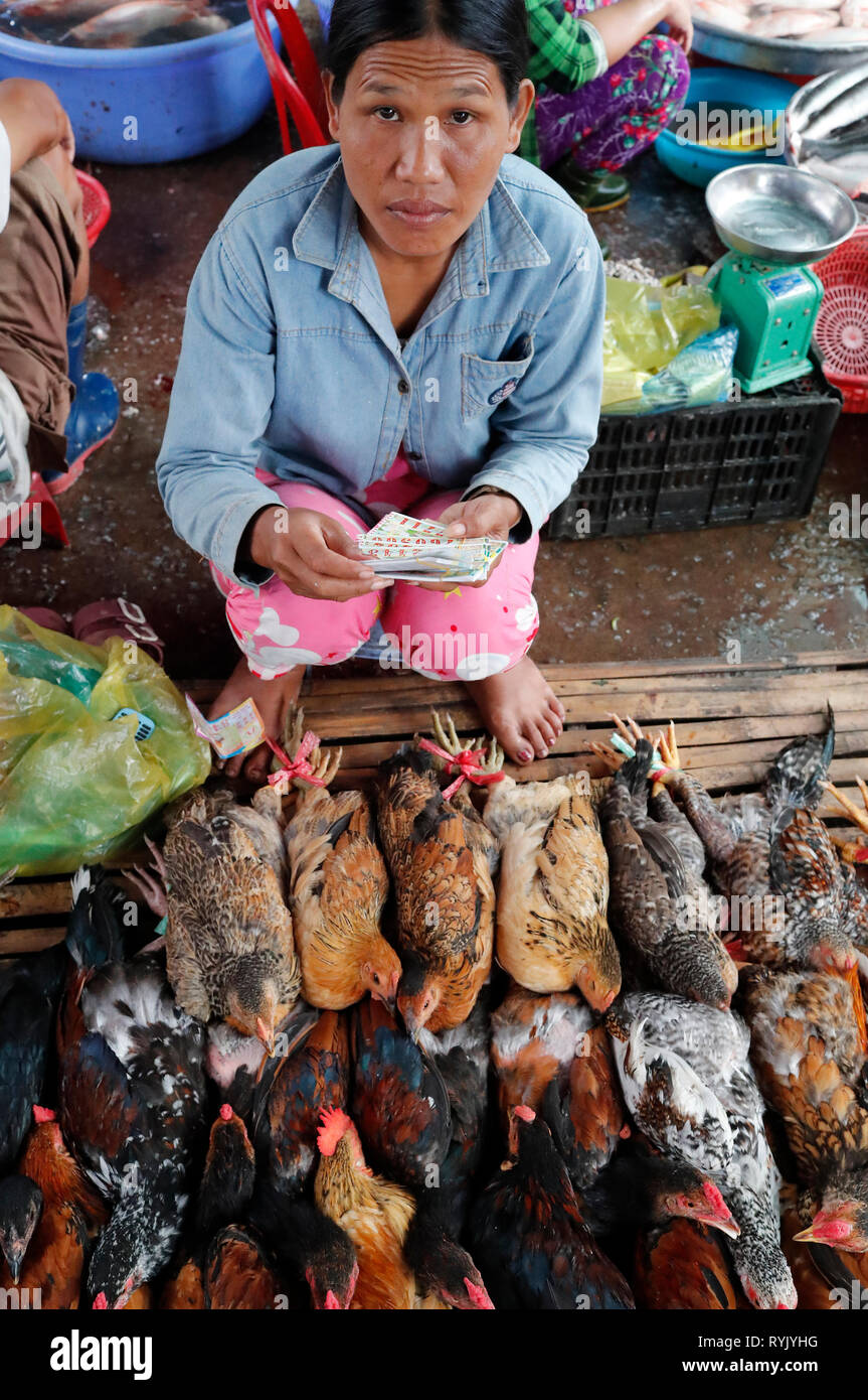 Huhn zum Verkauf. Traditioneller Markt. Ha Tien. Vietnam. Stockfoto