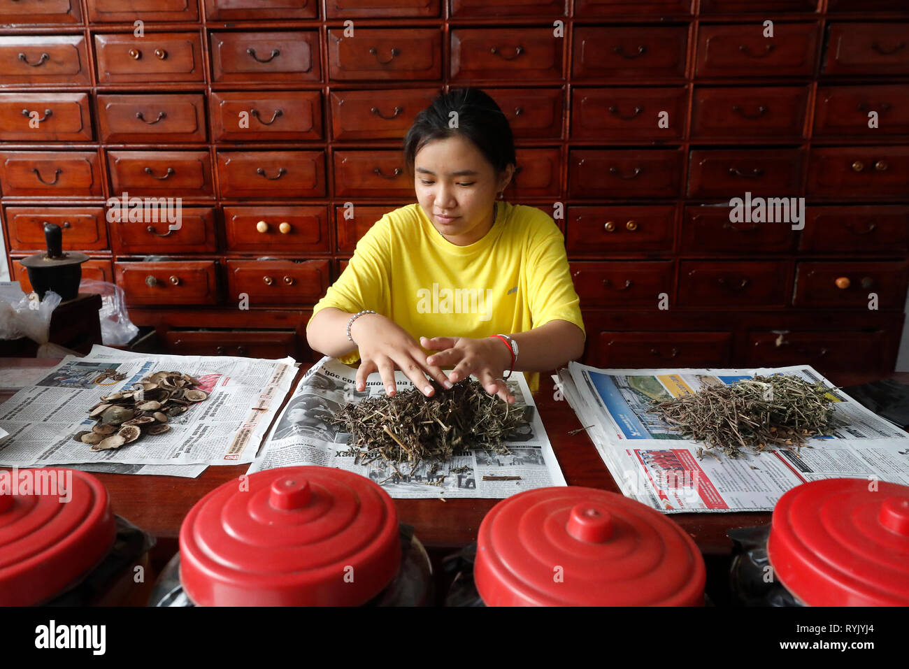 Frau in einer traditionellen chinesischen Apotheke arbeiten. Ha Tien. Vietnam. Stockfoto