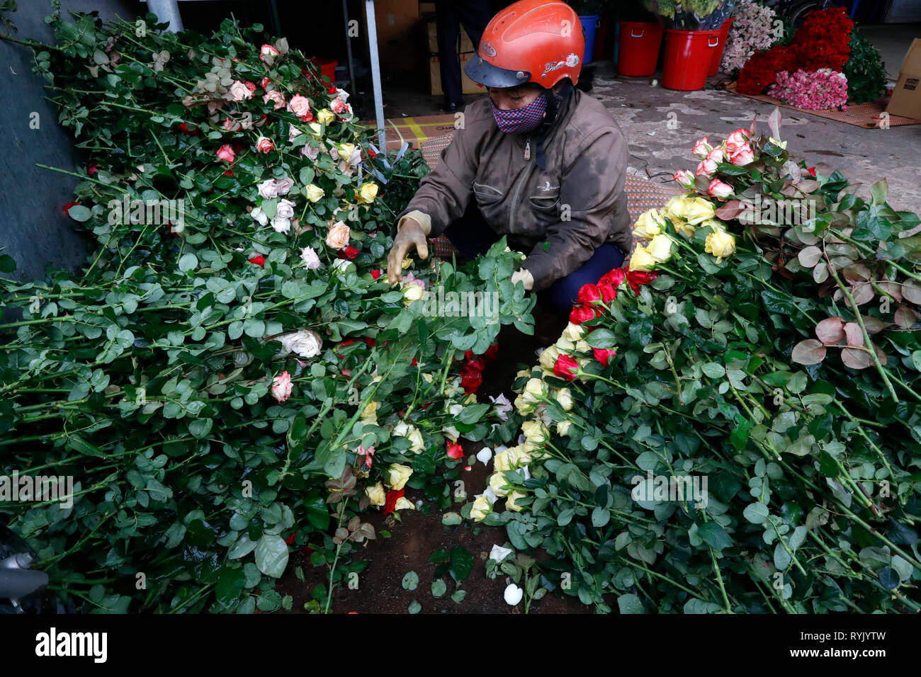 Frau in eine Blume Fabrik arbeiten. Dalat. Vietnam. Stockfoto