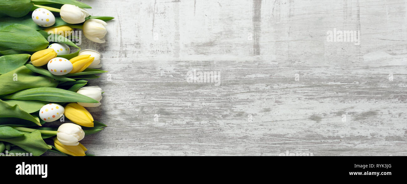 Ostern und Frühling Blumen Hintergrund. Ansicht von oben mit der Kopie. Stockfoto