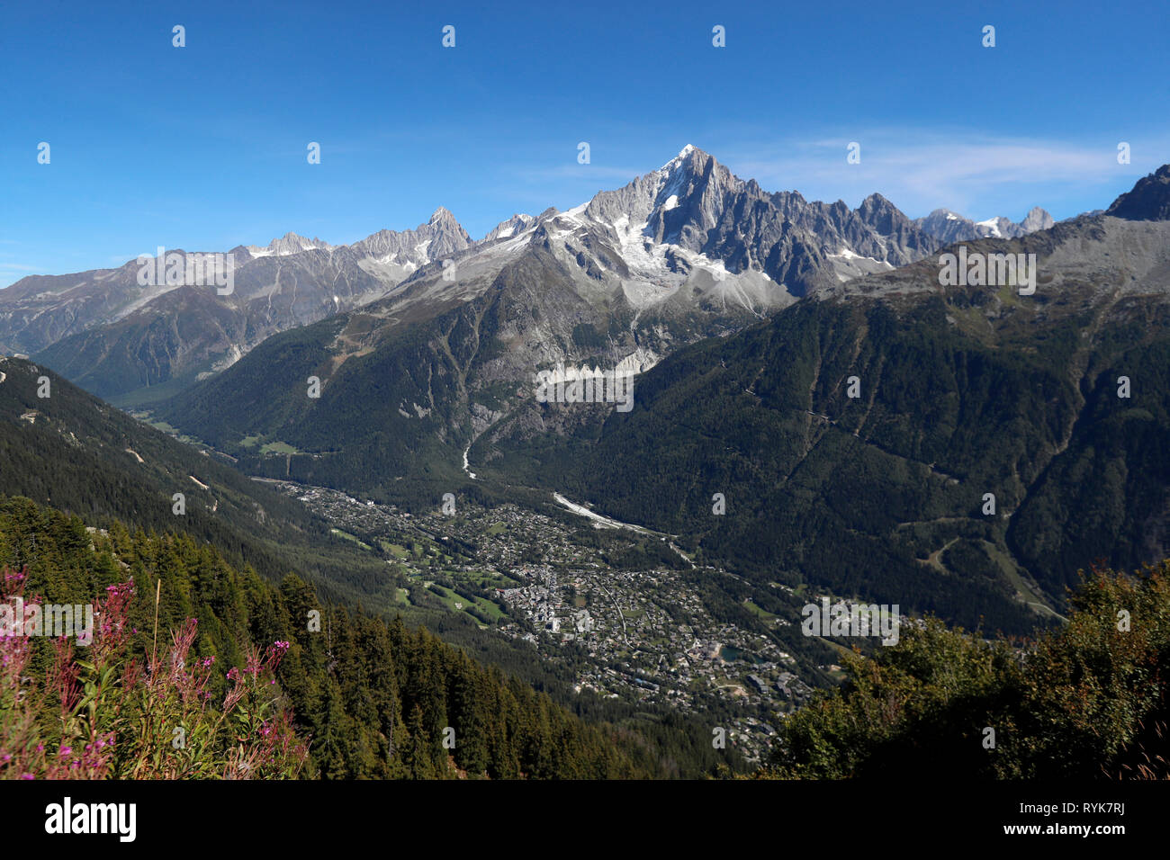 Tal von Chamonix, die Französischen Alpen. Tal von Chamonix, die Französischen Alpen. Die Aiguille Verte von Planpraz gesehen. Frankreich. Stockfoto