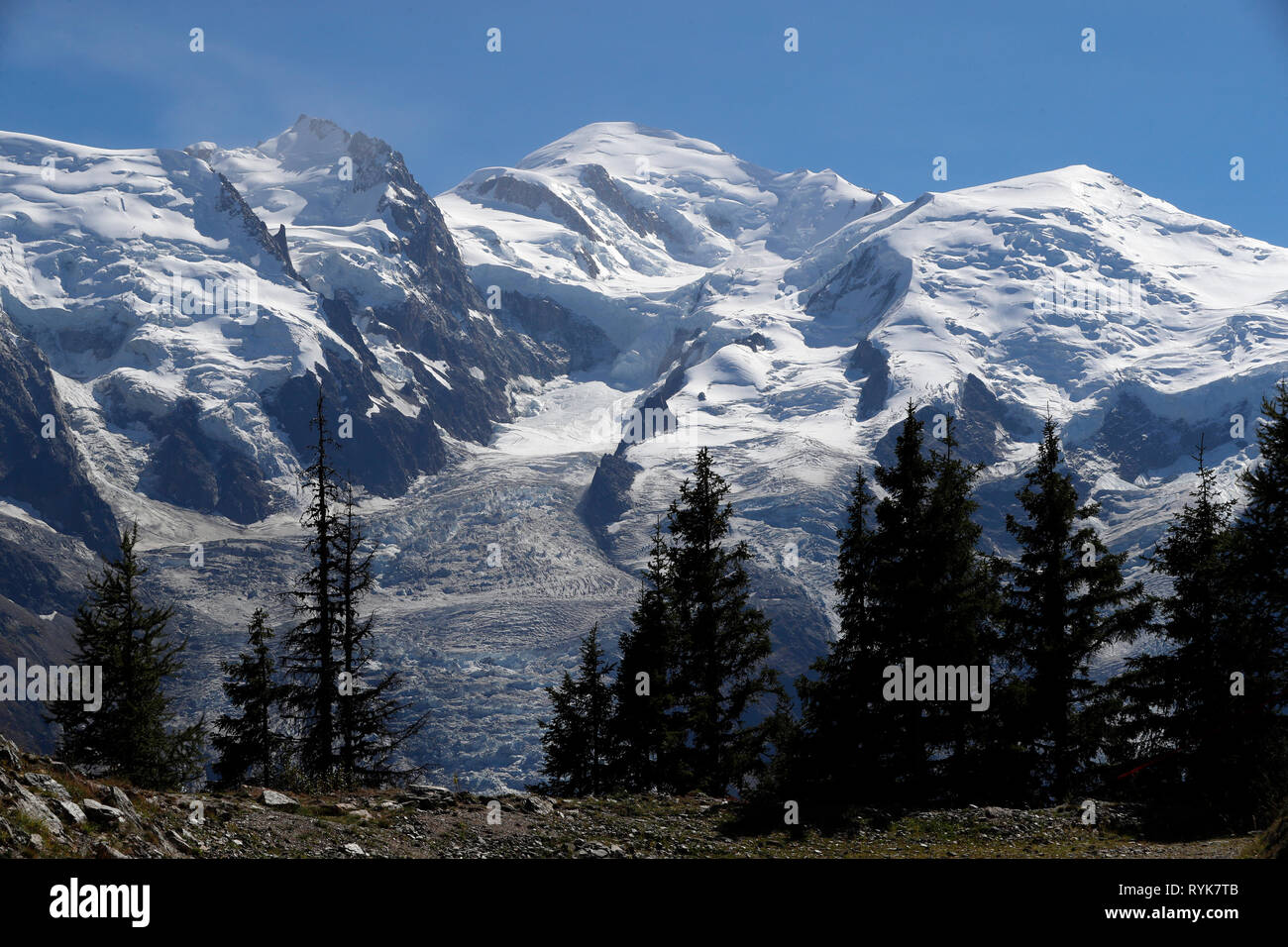 Tal von Chamonix, die Französischen Alpen. Das Mont Blanc Massiv von Planpraz gesehen. Bossons Gletscher. Frankreich. Stockfoto