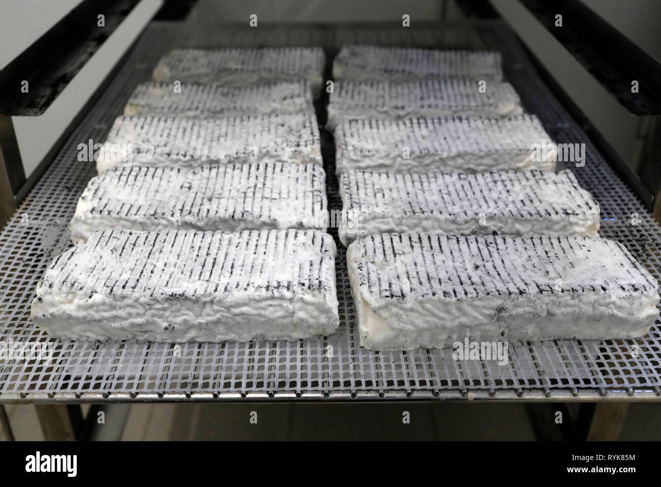 Traditionelle Bauernhof in den Französischen Alpen. Ziegenkäse Fabrik. Marignier. Frankreich. Stockfoto