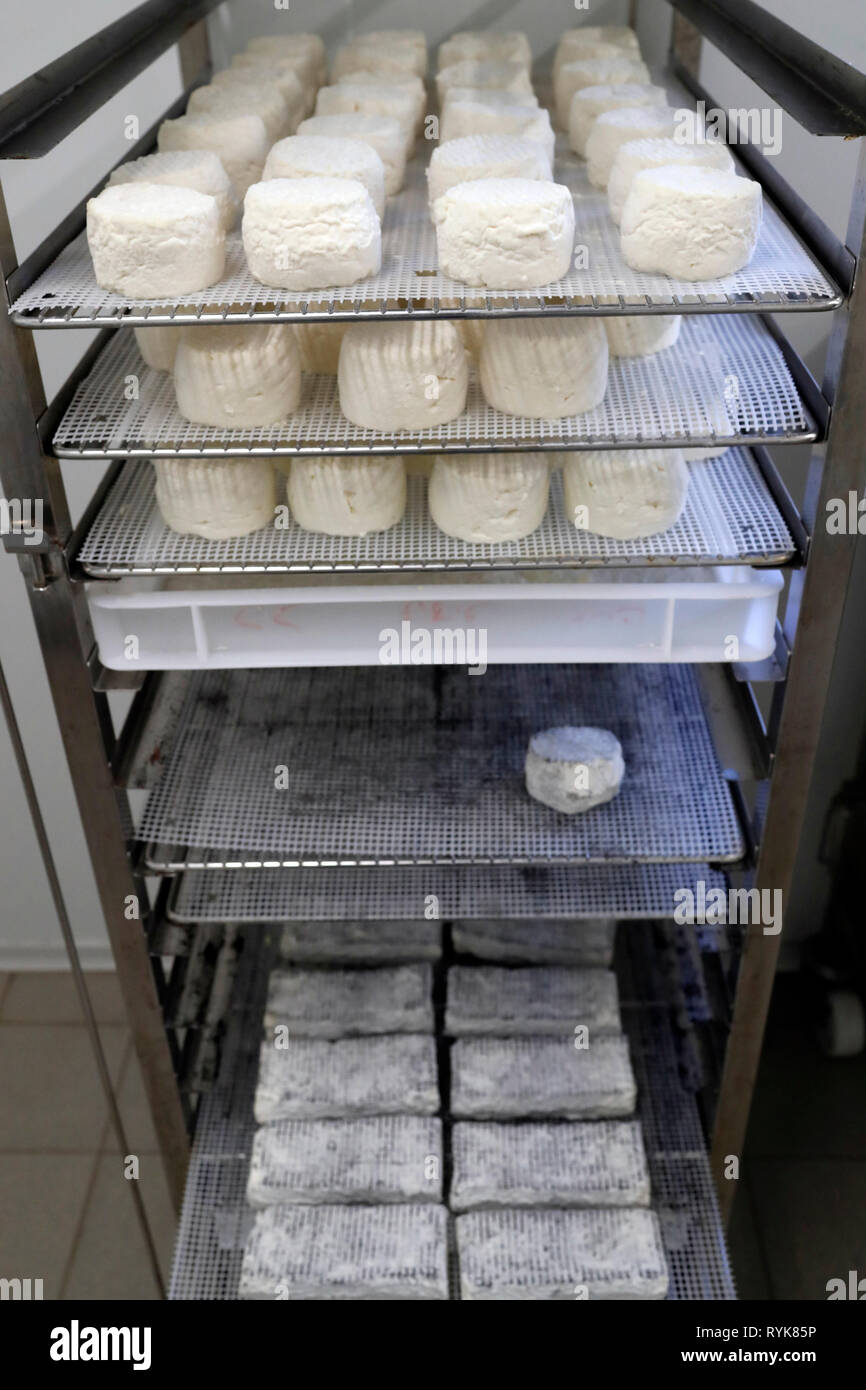 Traditionelle Bauernhof in den Französischen Alpen. Ziegenkäse Fabrik. Marignier. Frankreich. Stockfoto