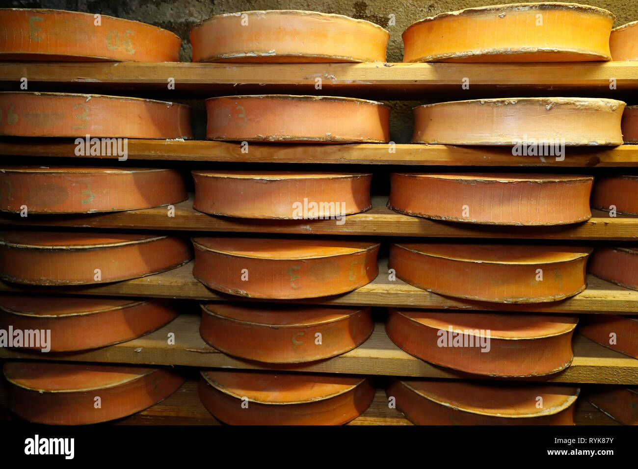 Handwerkliche Beaufort Käse in der Veredelung in einem traditionellen Weinkeller. Rognaix. Frankreich. Stockfoto