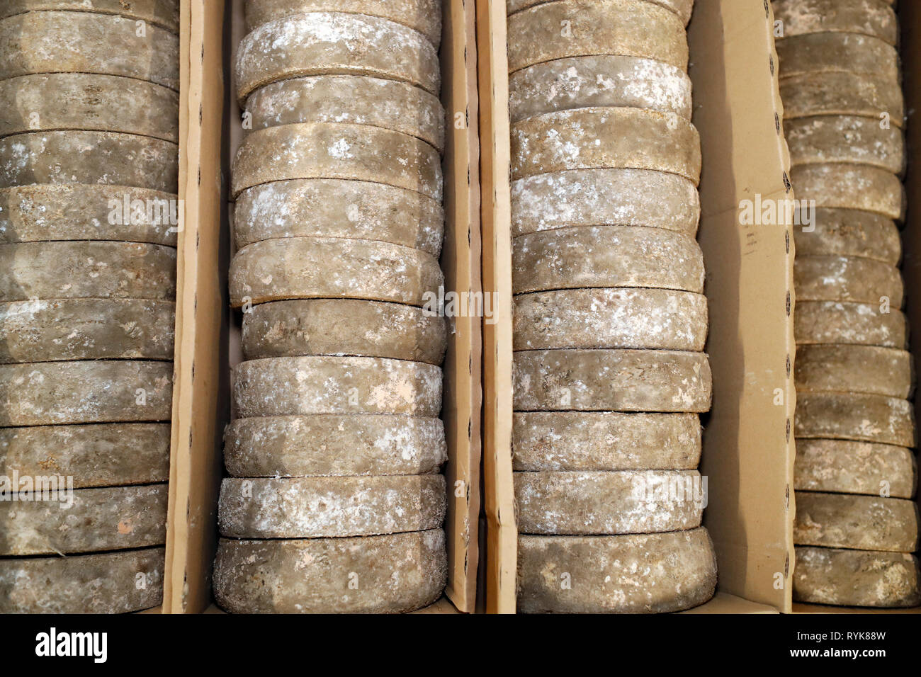 Handwerkliche Tomme in der Veredelung in einem traditionellen Weinkeller. Rognaix. Frankreich. Stockfoto