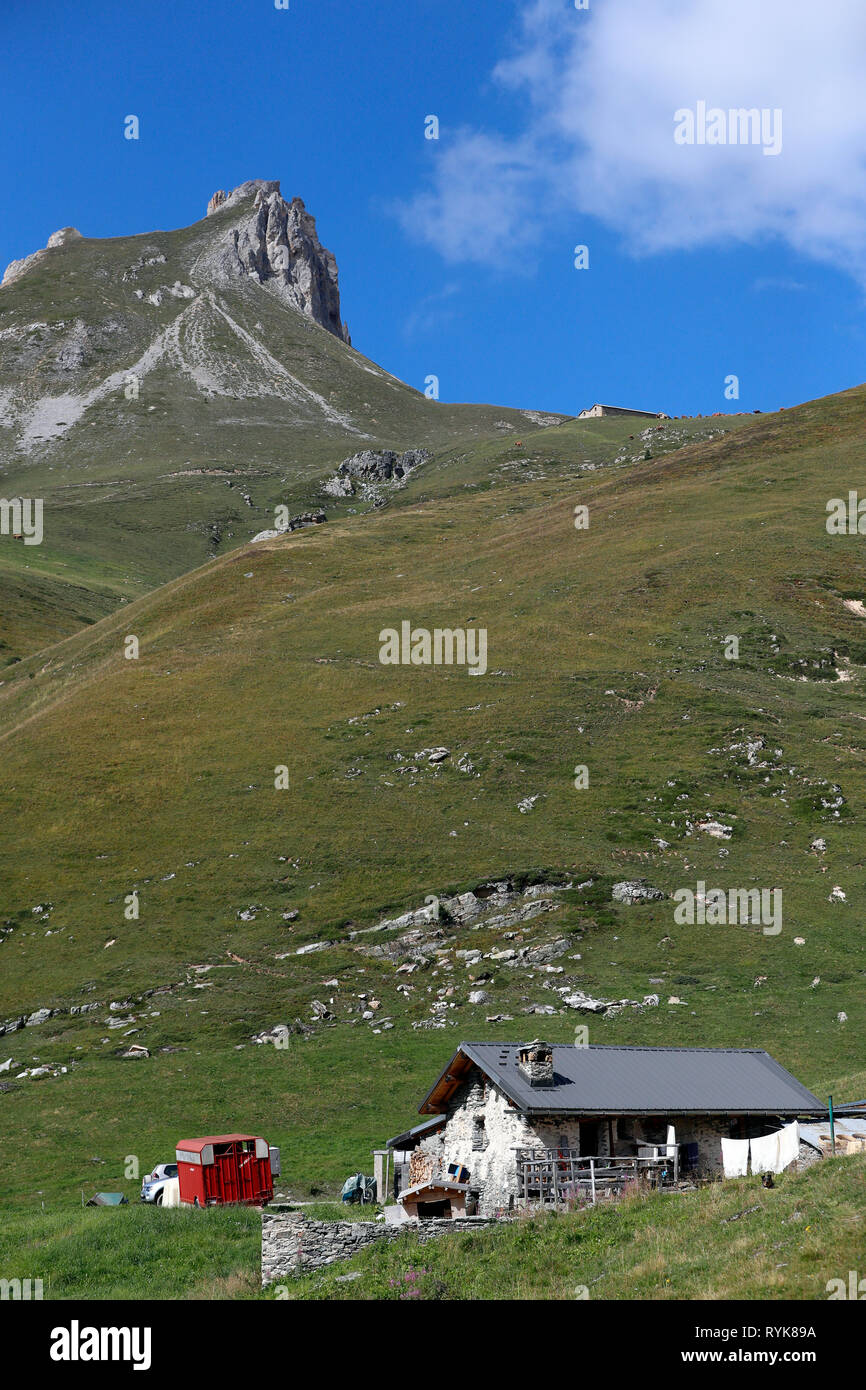 Die französischen Alpen. Handwerkliche Beaufort Käse Fabrik auf Almen. Peisey Nancroix. Frankreich. Stockfoto