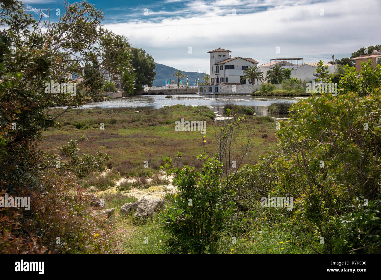 La Gola Naturpark, ein kleines Feuchtgebiet zentral in Puerto Pollenca Stadt, Mojorca, Spanien befindet. Stockfoto