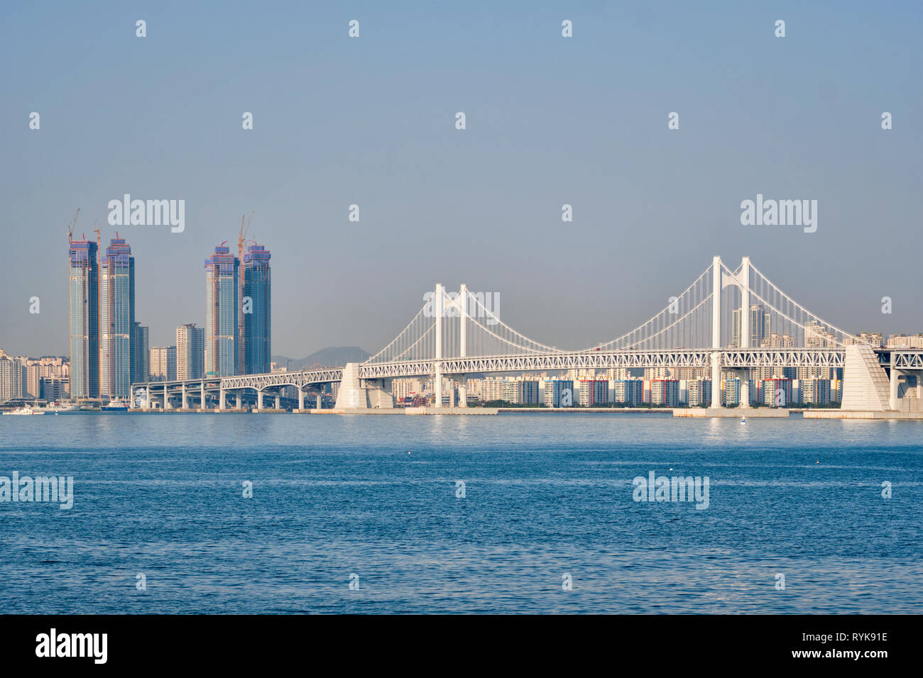 Gwangan Brücke und Wolkenkratzer in Busan, Südkorea Stockfoto