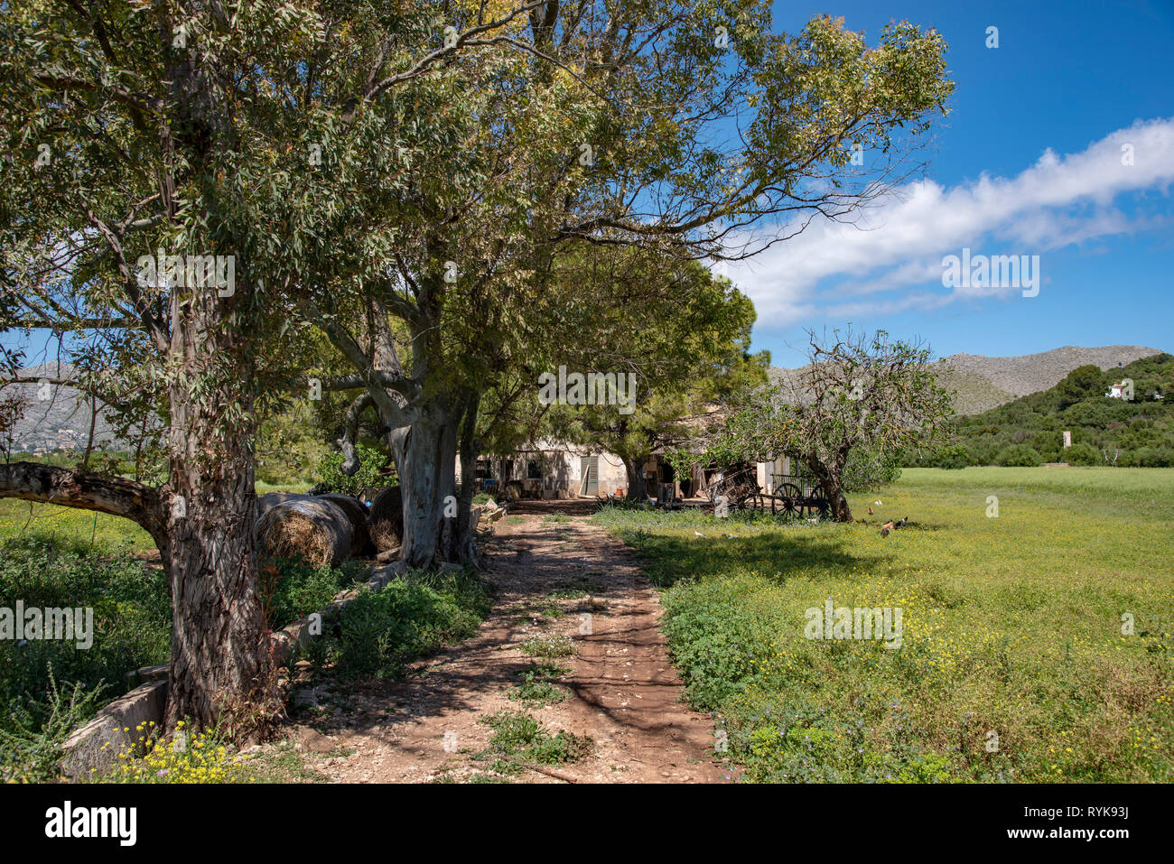 Eine Farm, Pollensa, Mallorca, Spanien. Stockfoto