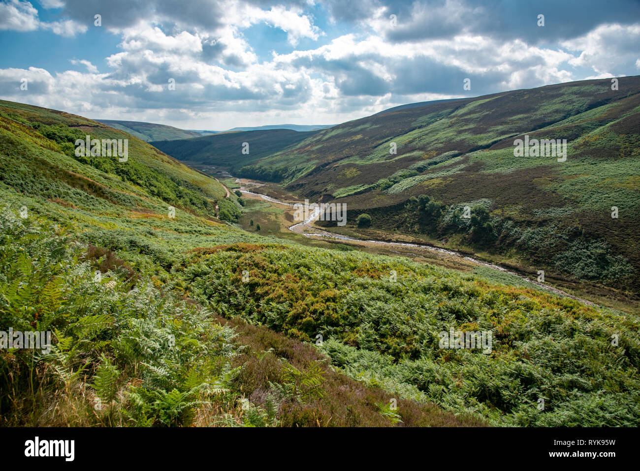 Dunsop langden Bach, Brücke, Lancashire. Stockfoto