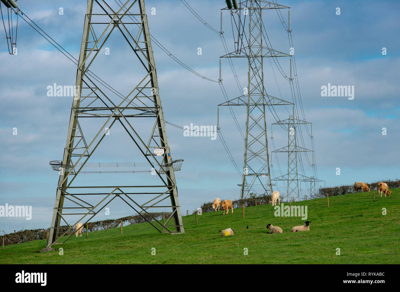 Strommasten bei fünf Fahrstreifen endet, Lancaster, Lancashire. Stockfoto